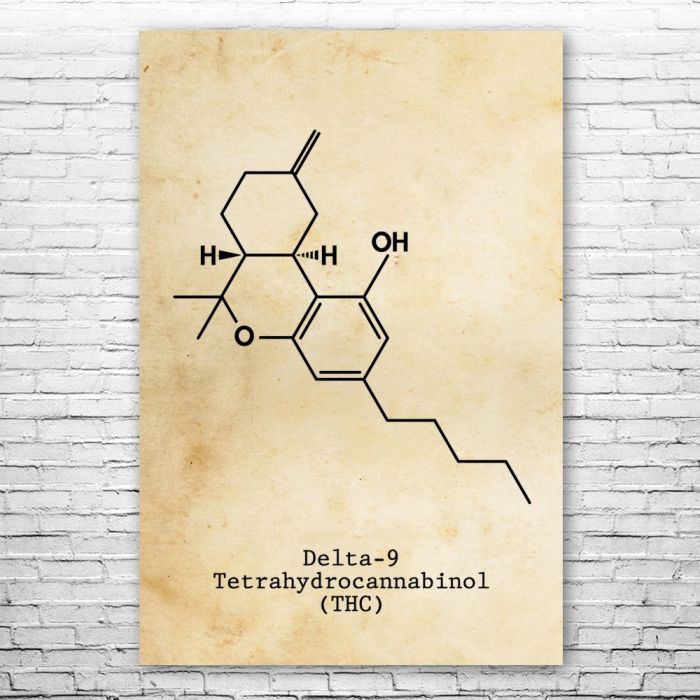 thc molecular structure